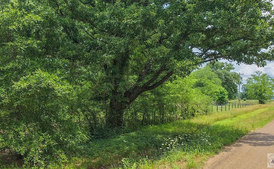 2nd image of County Road 1905