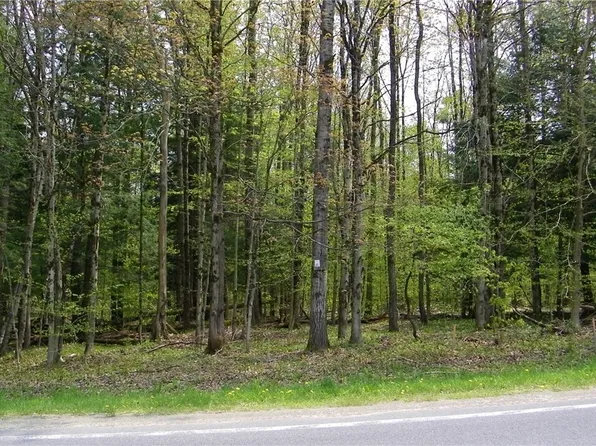 3624 County Route 17 #6, Williamstown, NY 13493