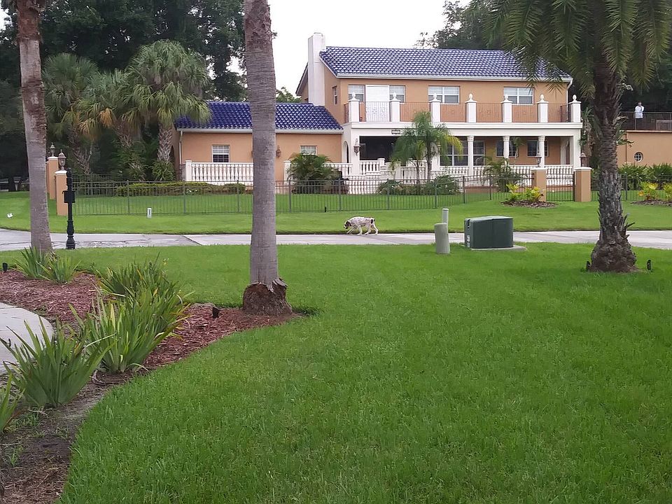 Front Yard View/Studio on the left side