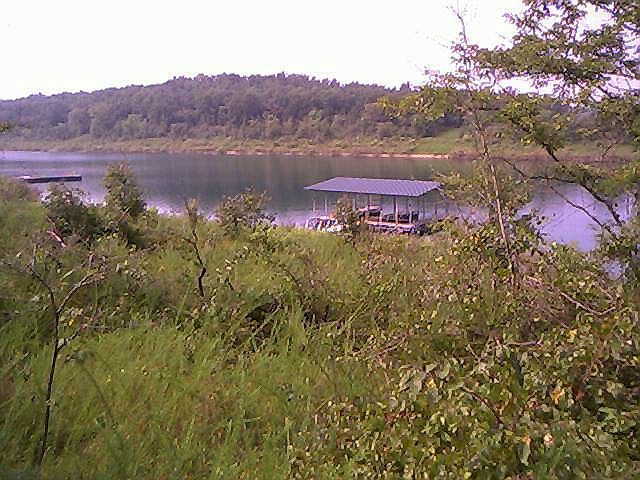 1st image of 7401 E Harbor Dr