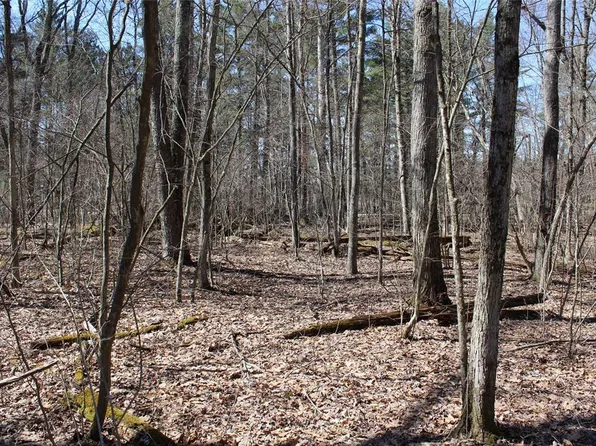 00 Resewood Ave. - Lot 4, Neillsville, WI 54456