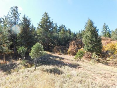 6450 Apache Drive, Larkspur, CO, 80118