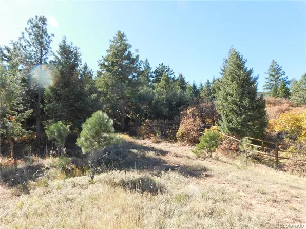 6450 Apache Drive, Larkspur, CO 80118