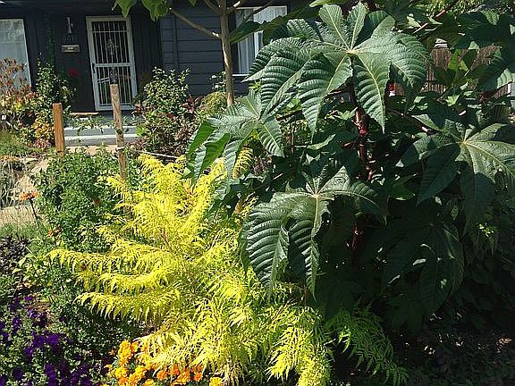 Front garden and porch