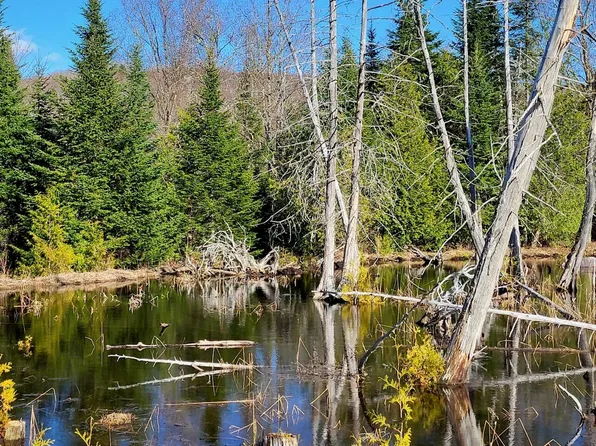 Lot 5 Morrison Brook Acres, Oakfield, ME 04763