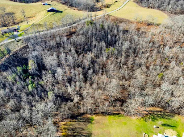 0 Blueberry Rdg, Olive Hill, KY 41164