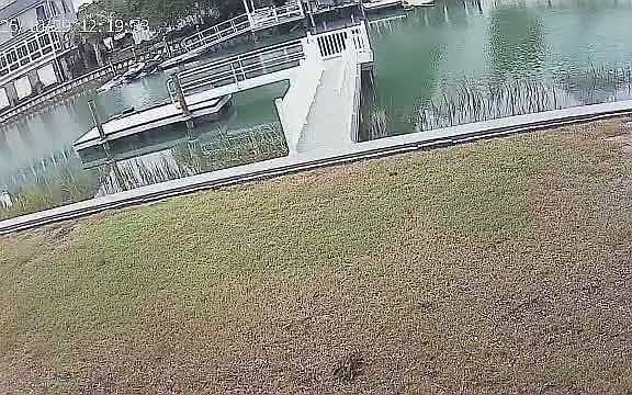 Bulkhead and complete Dock