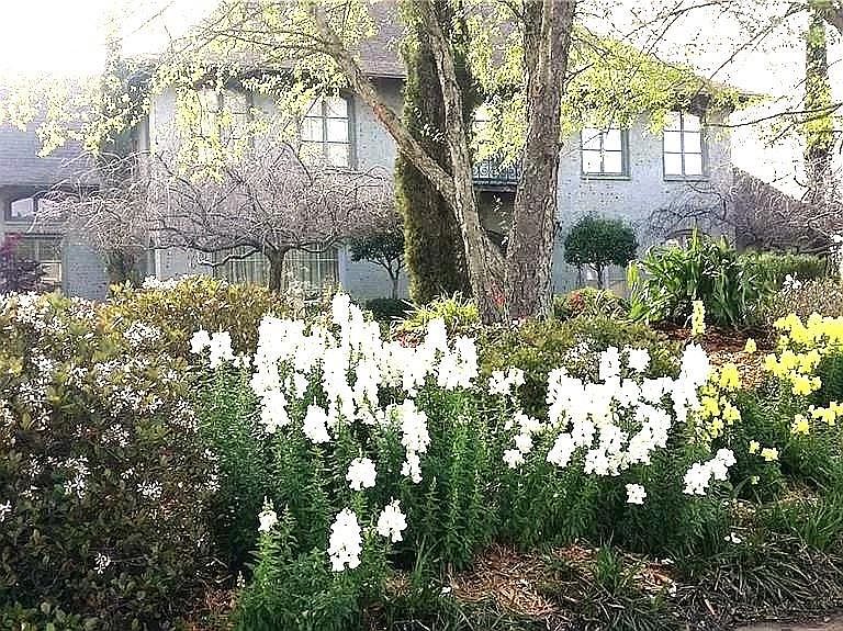 6310 Tennyson Oaks Ln, Alexandria, LA 71301 MLS 2405234 Zillow