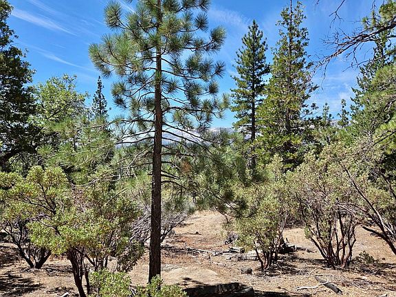 5th image of 167 Pine Cone Path