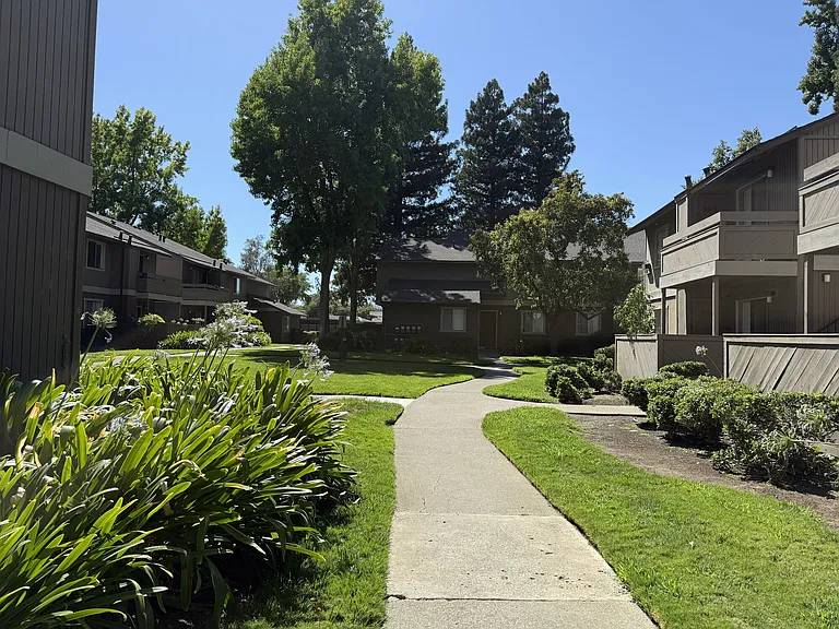 Shasta Terrace — Photo 22
