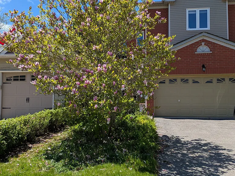 42 Ballymore Dr — Photo 2