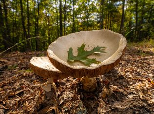 LOT 22 Morris Ridge Dr, Murphy, NC 28906
