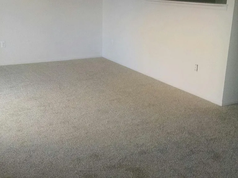 307 Maddies Way — Photo 9