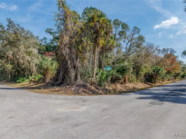 12298 W Marjoram Pl, Crystal River, FL 34428