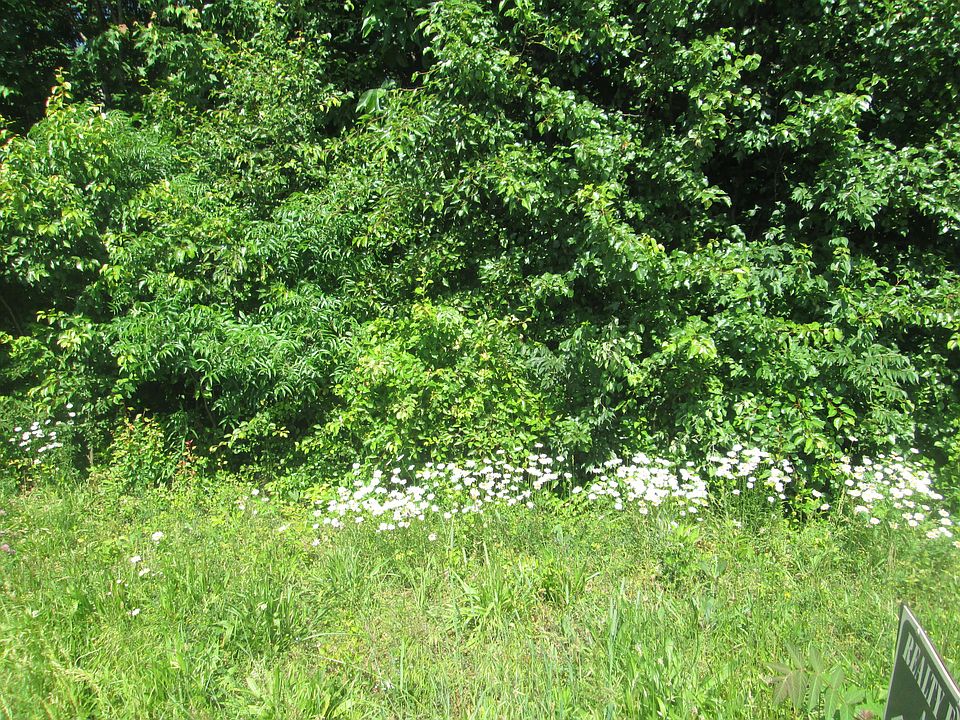 2nd image of Lovell Rd