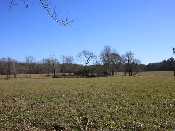 3 Highway 958, Slaughter, LA 70777