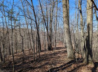 1950 Big Root Rd, Big Bend, WV 26136