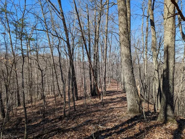 1950 Big Root Rd, Big Bend, WV 26136