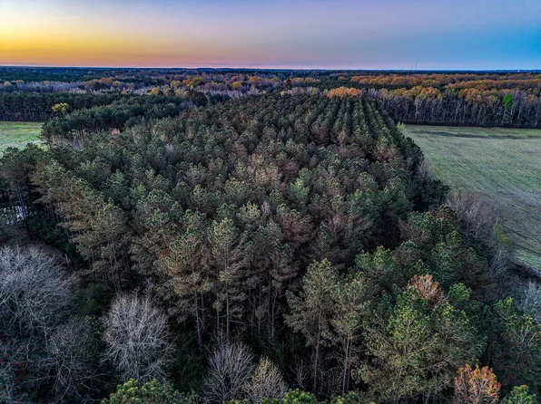County Road 64, Woodland, MS 39776