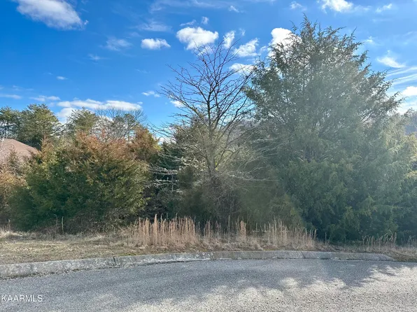 117 Wildwood Way, Tazewell, TN 37879