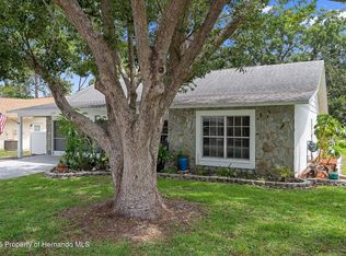 6195 Ocean Pines Ln, Spring Hill, FL 34606