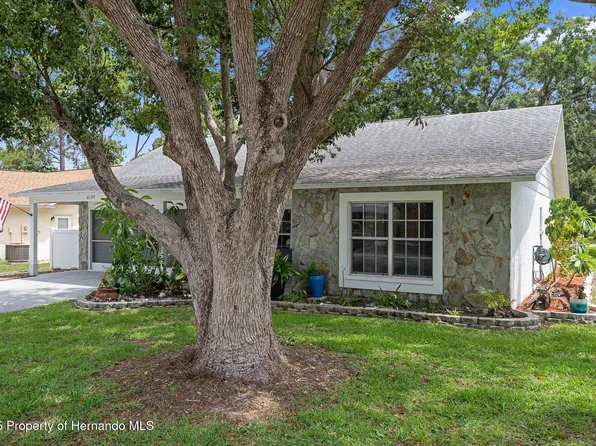 6195 Ocean Pines Ln, Spring Hill, FL 34606