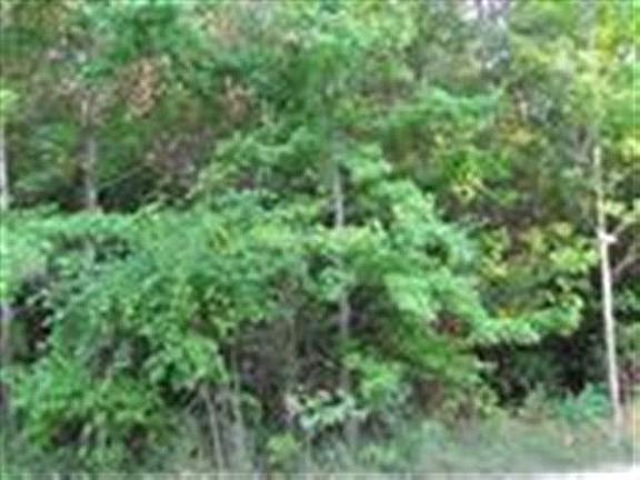 4th image of 659 Westwind Dr SW