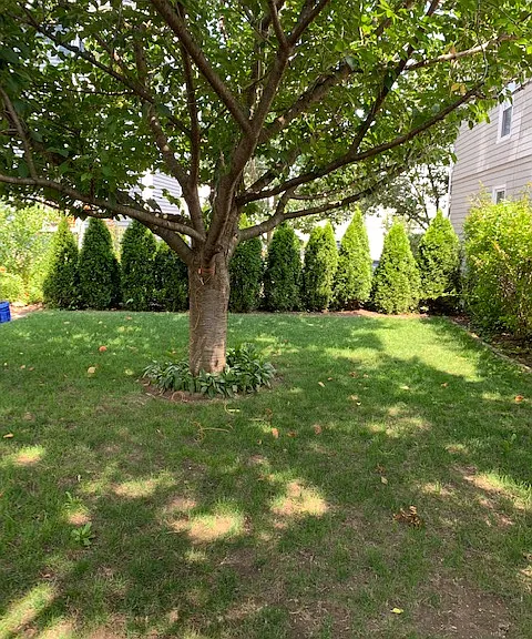 255 Transit St #1 — Photo 17