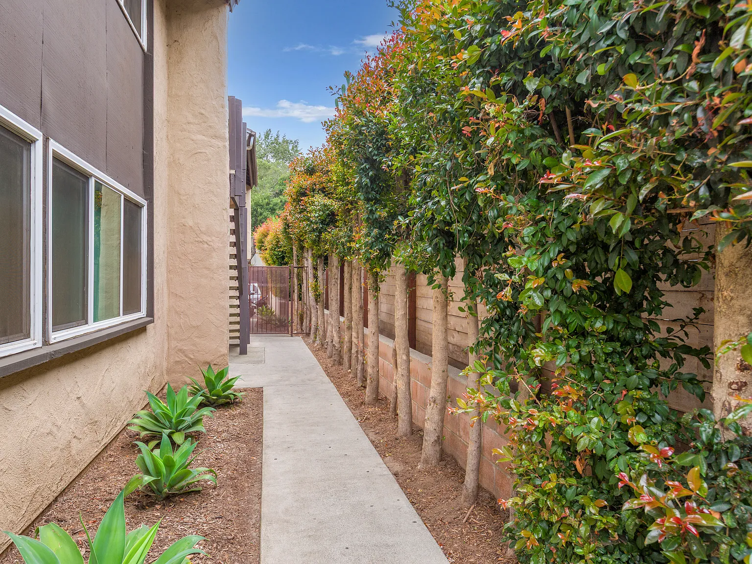 Ivy at Anapamu — Photo 2