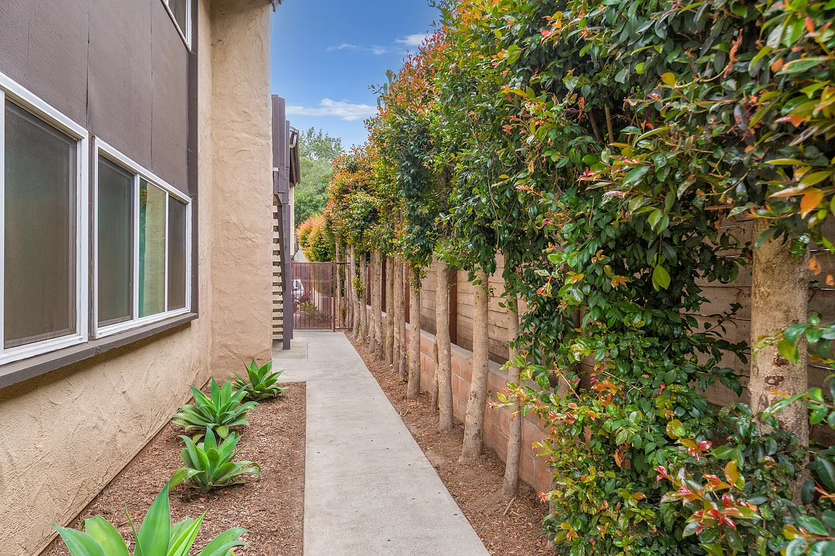 Building Photo - Ivy at Anapamu