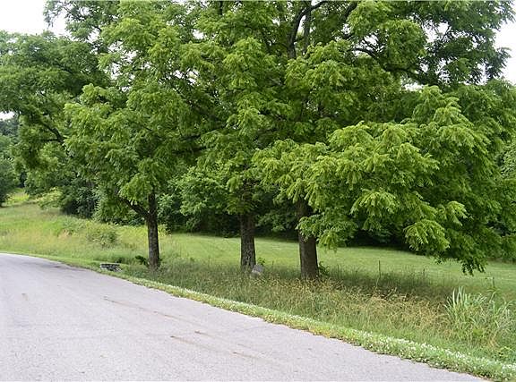 2nd image of 4428 Ivan Creek Dr #155