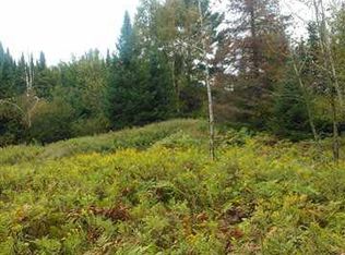 40 Acres Big Balsam Rd, Foxboro, WI 54836