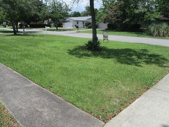Front yard looking out to the road