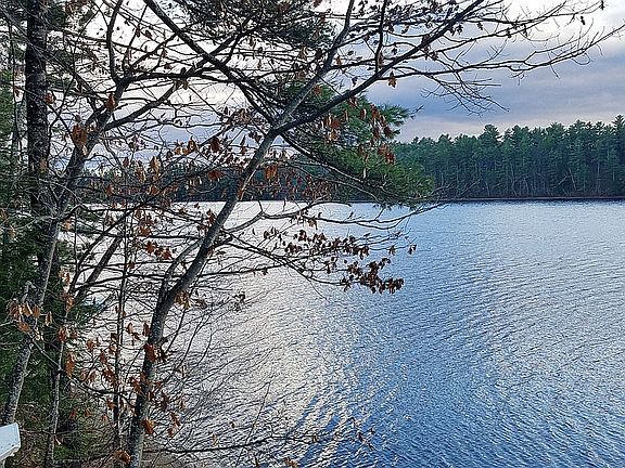2nd image of 140 Hogan Pond Ln