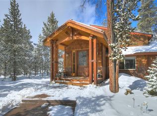 248 Placer Dr, Alma, CO 80420