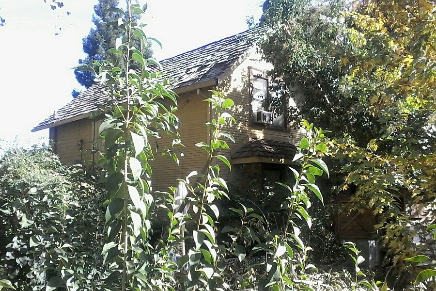2nd image of 1502 Palm Ave