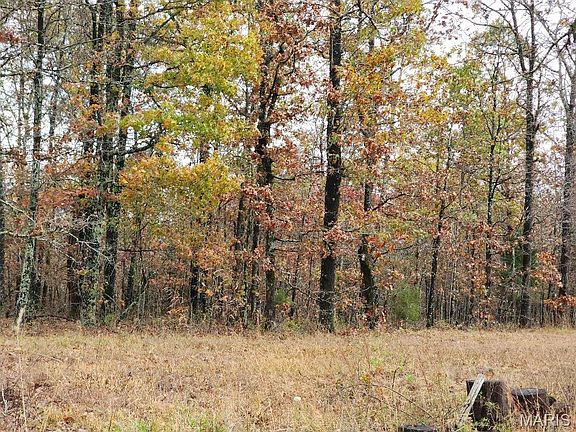 2nd image of 0 Carter Rte E #266