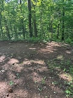 5th image of LOT 110 Rivermist Pl