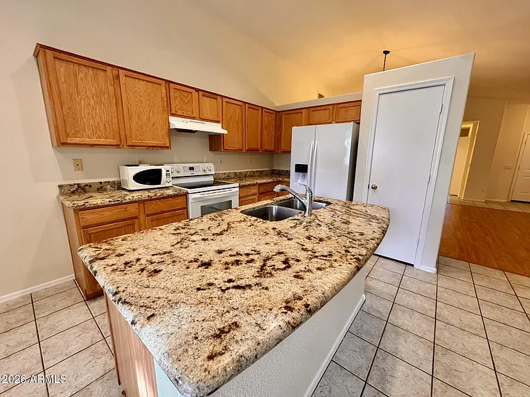 21303 N 79th Dr — Photo 6