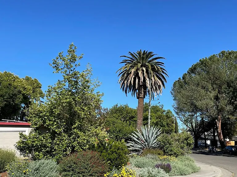 902 Gregory Pl — Photo 3