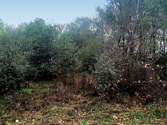 5th image of 15285 Highland Ave