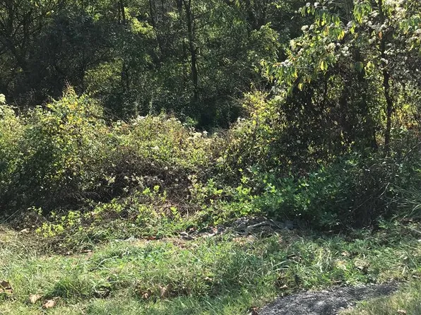 LOT 9 Elem St, Chilhowie, VA 24319