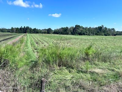 0 Curleys Rd, Sunset, LA, 70584