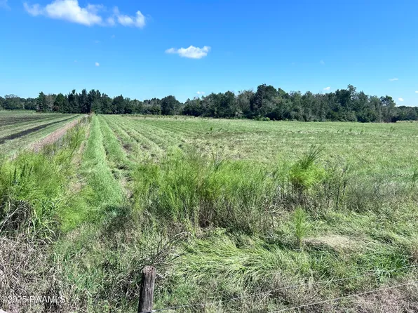 0 Curleys Rd, Sunset, LA 70584