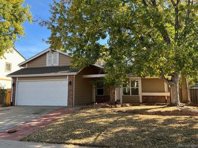 4558 Biscay Street, Denver, CO, 80249