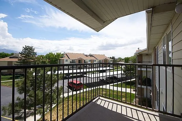 Willow Cove — Photo 13