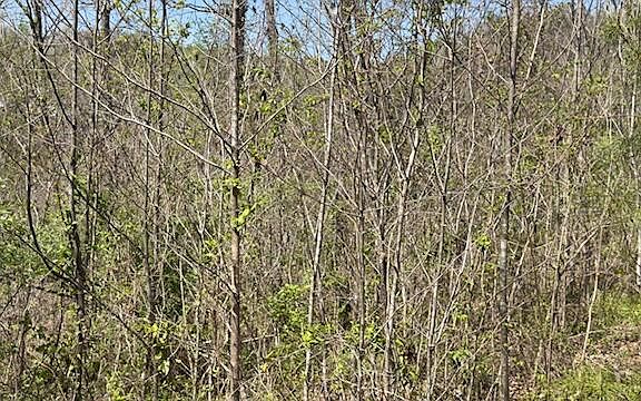 3rd image of Indian Creek Rd Lot 11