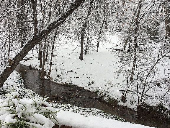 Snowy wonderland in February