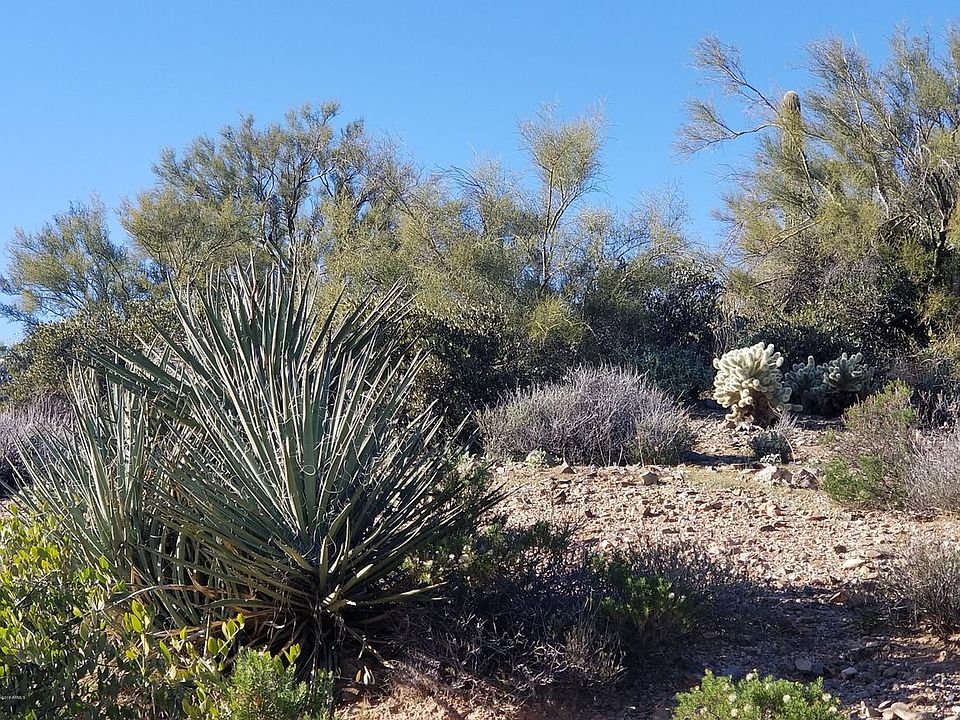 1st image of 9760 E Honey Mesquite Dr