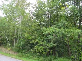 3 Track Mountain Rd, Warnerville, NY 12187